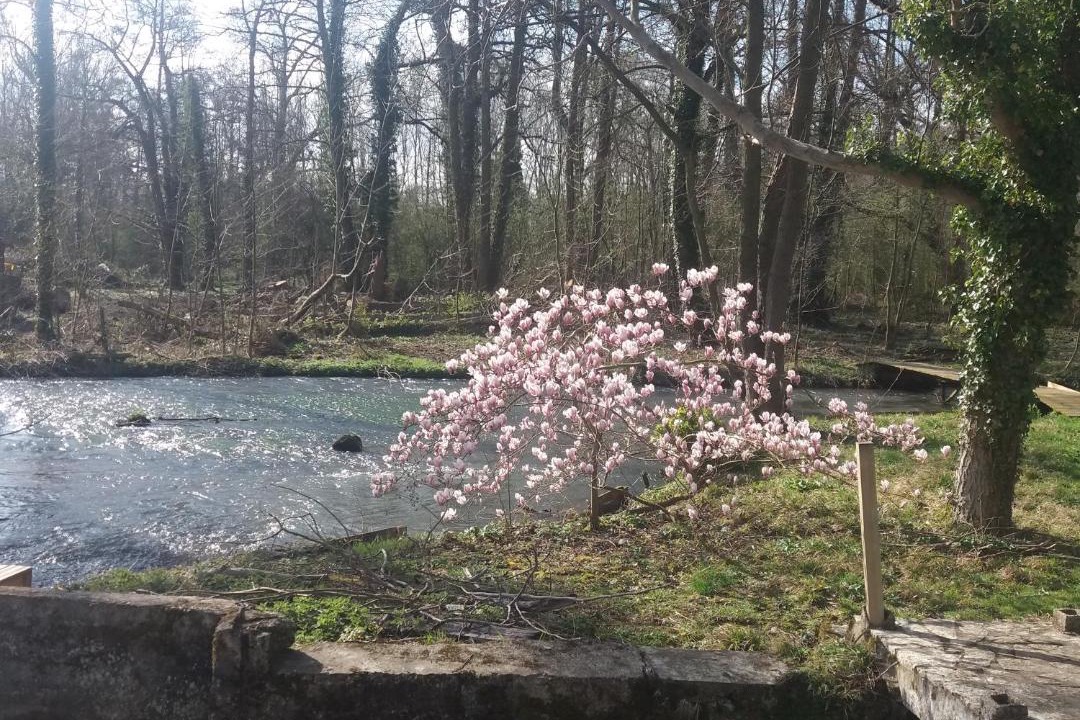 Photo of Others in Senarpont