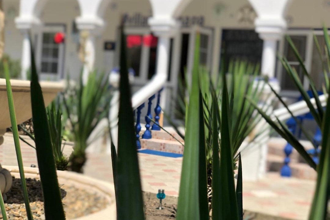 Photo of Others in Anapa