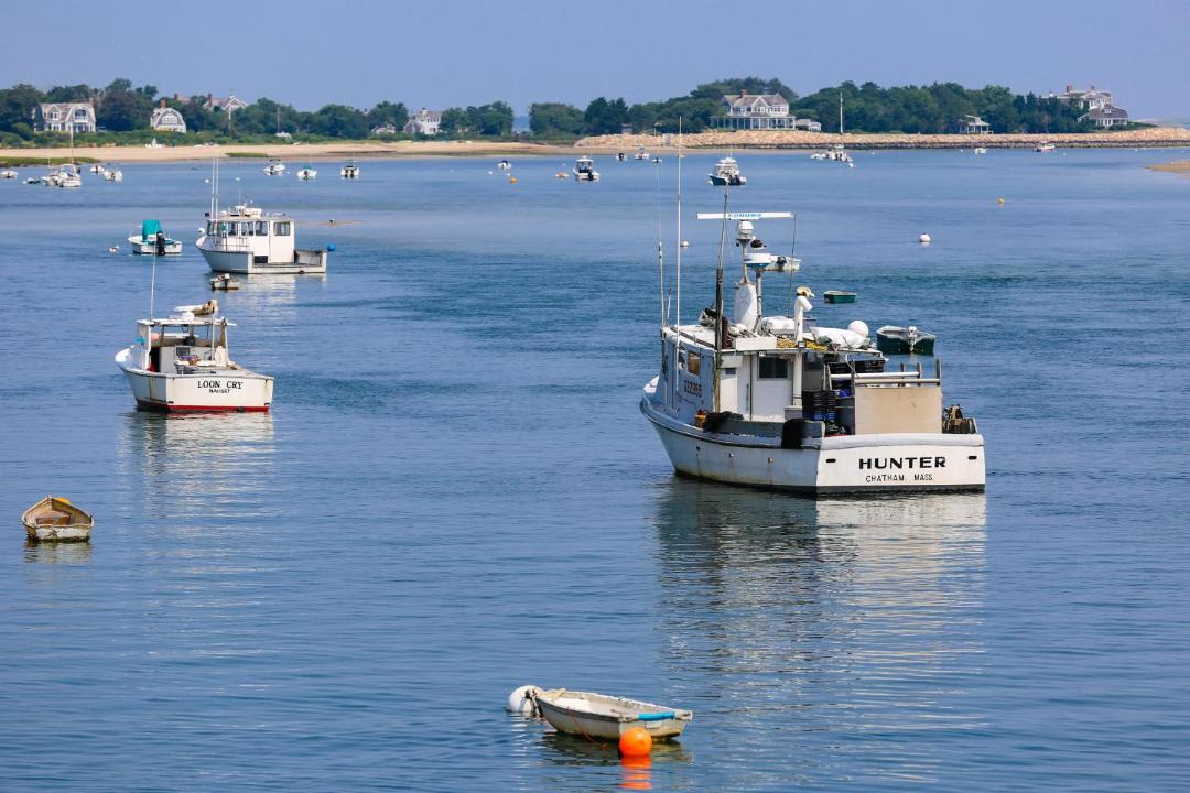 Photo of Others in South Chatham