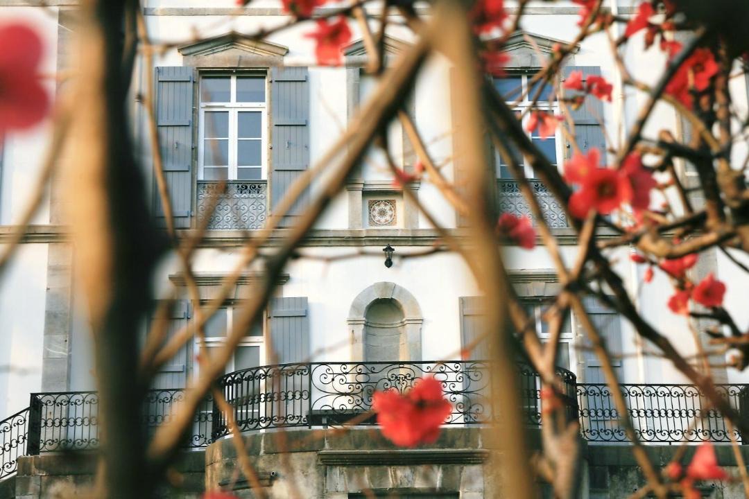 Photo of Others in Irissarry