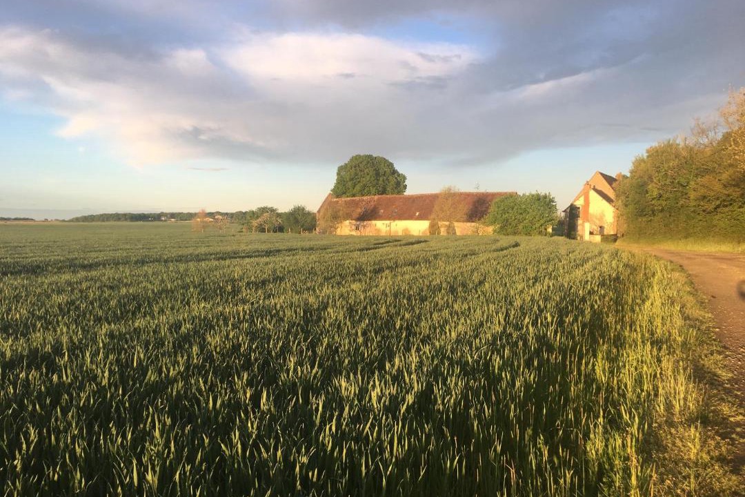 Photo of Outdoor in Nazelles-Negron