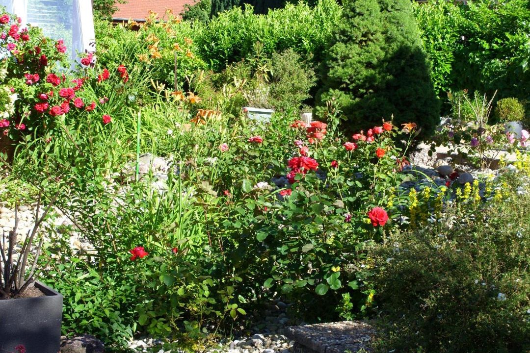 Photo of Others in Oberhaslach