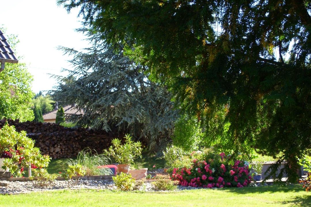 Photo of Others in Oberhaslach