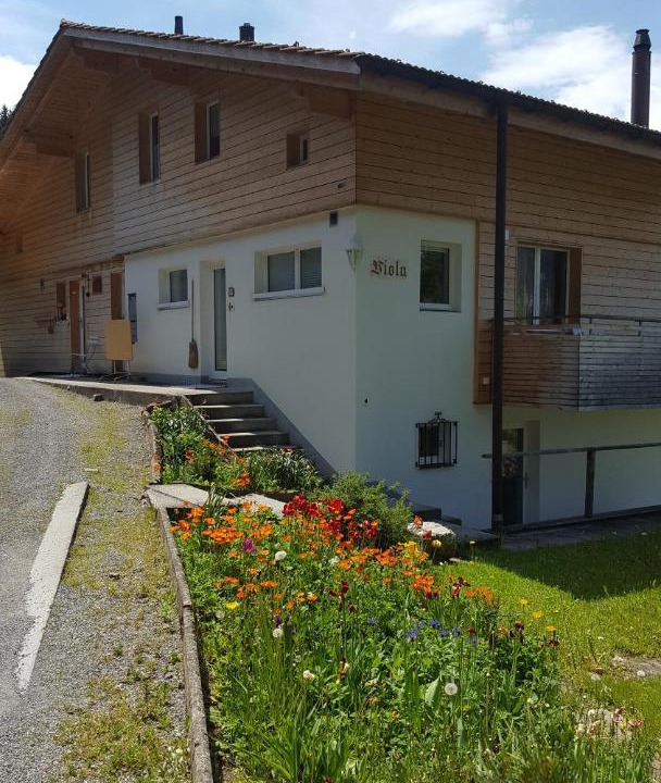 Photo of Others in Wengen