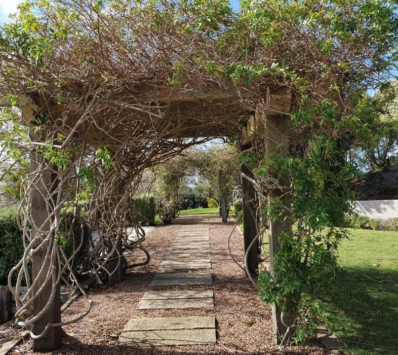 Photo of Others in Oneroa