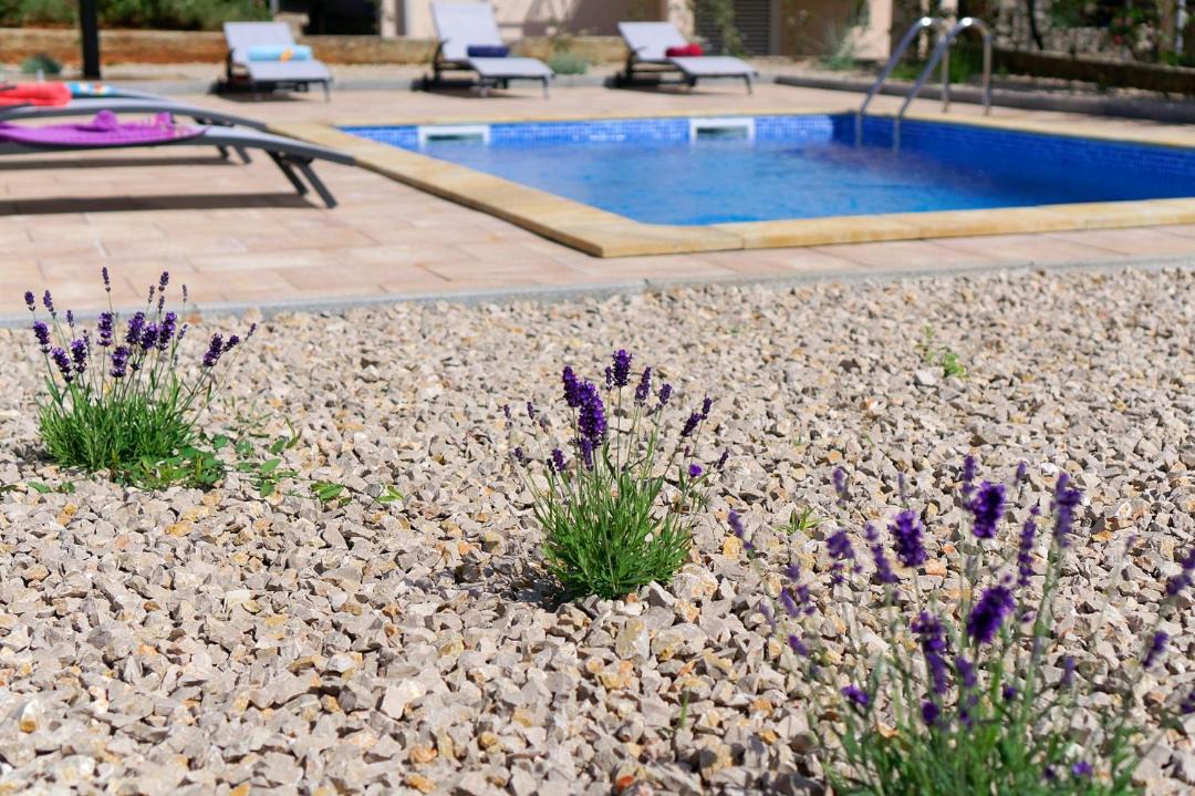 Photo of Outdoor in Vantacici
