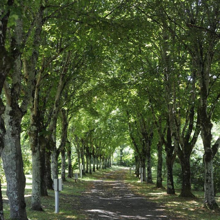 Photo of Outdoor in Marciac