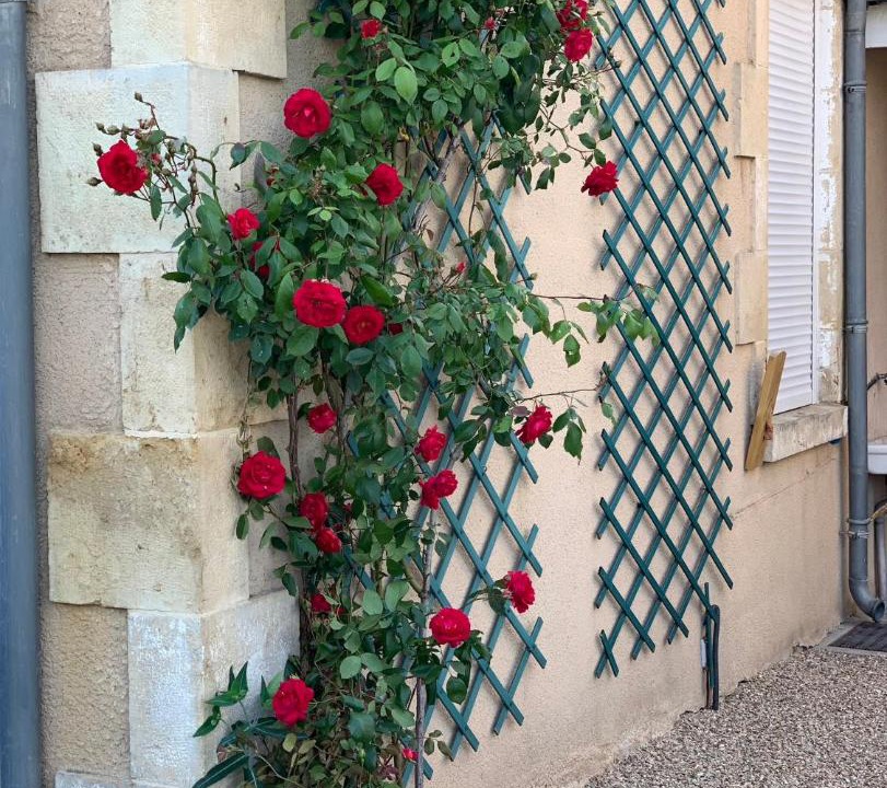 Photo of Others in La Chatre