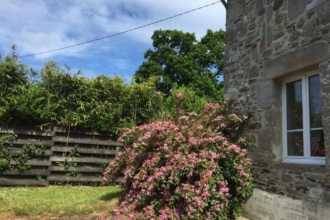 Photo of Others in Le Vast