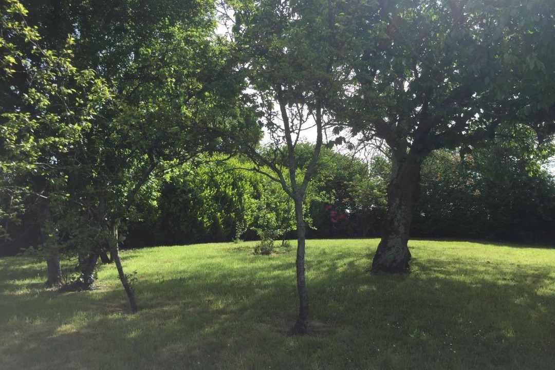 Photo of Outdoor in Le Vast