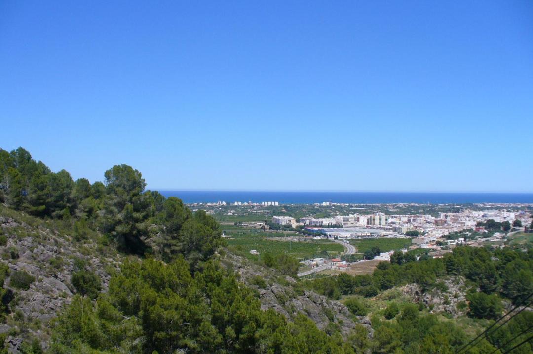 Photo of Others in Oliva