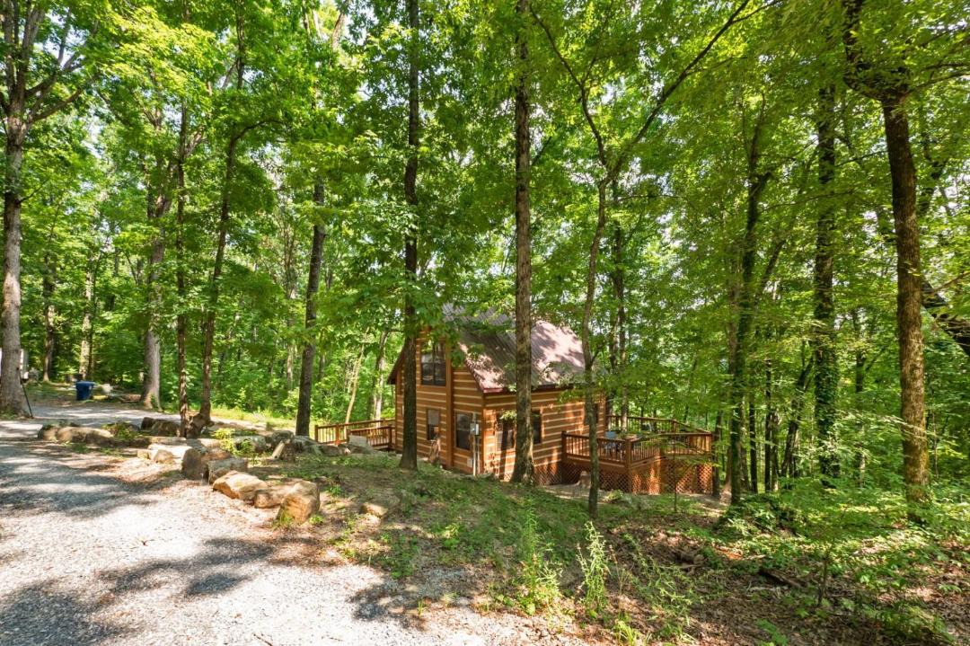 Photo of Others in Trenton