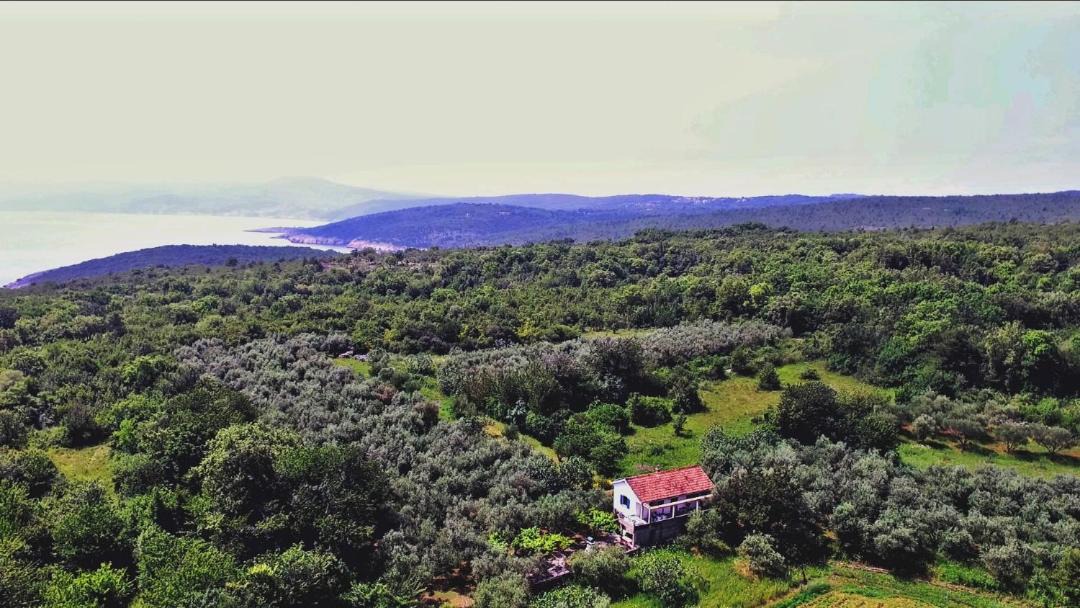 Photo of Others in Dobrinj