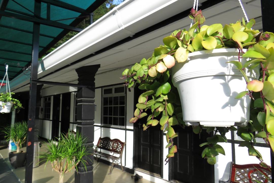 Photo of Others in Tanah Rata