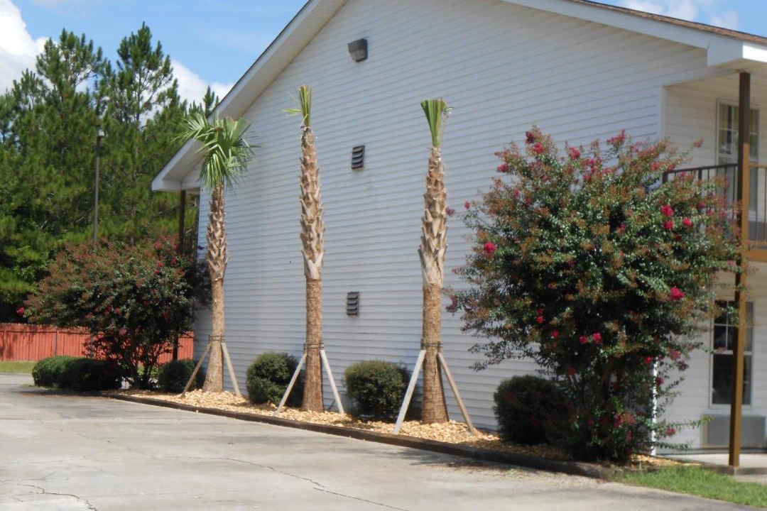 Photo of Others in Glennville