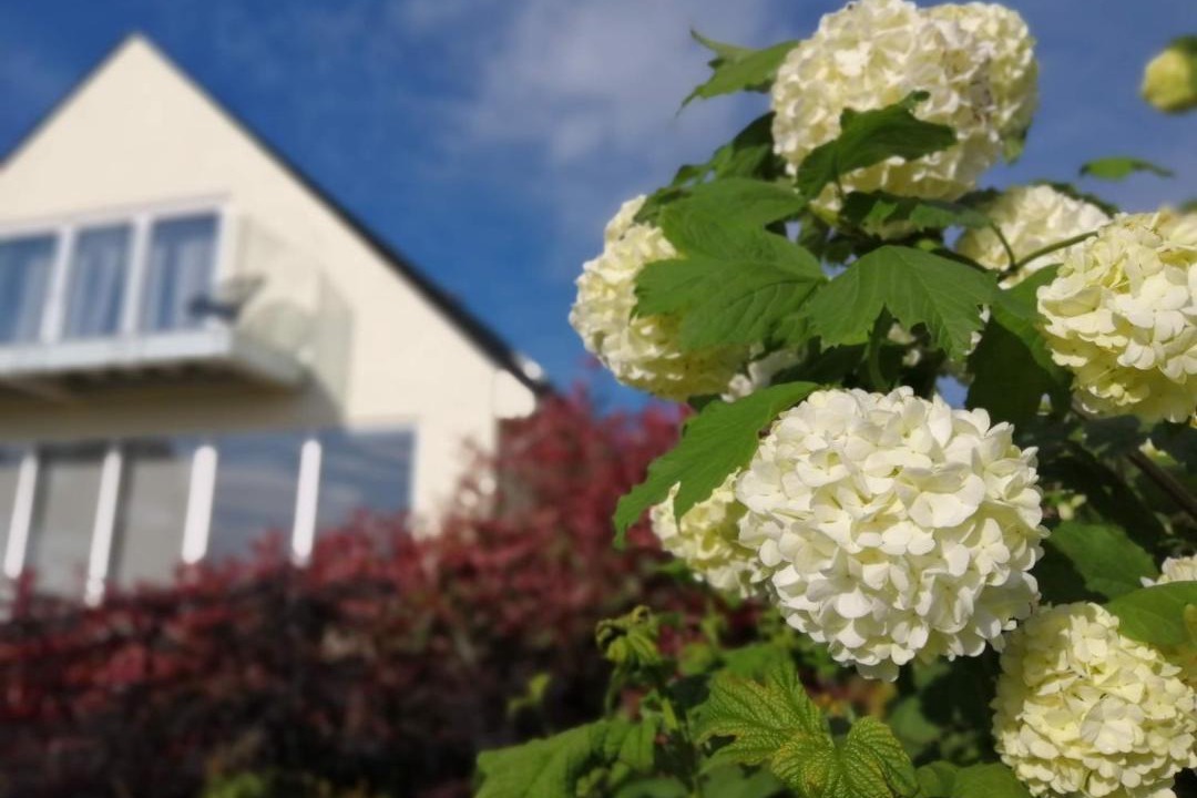 Photo of Buildings in Hawkhurst