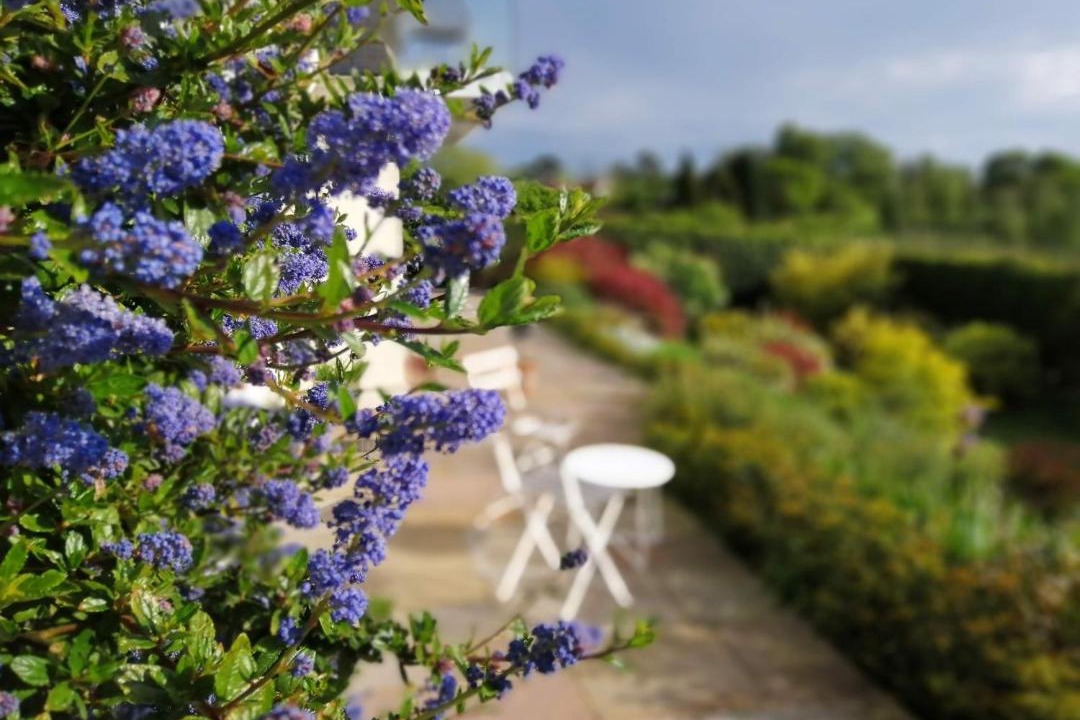 Photo of Others in Hawkhurst