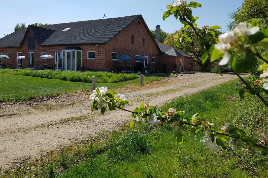 Photo of Others in Holstebro