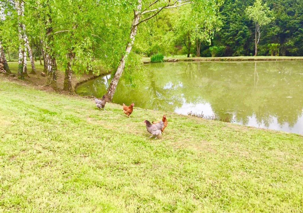 Photo of Others in Saint-Yrieix-la-Perche