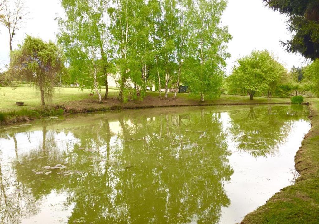 Photo of Others in Saint-Yrieix-la-Perche