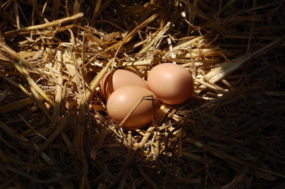 Photo of Others in Verton