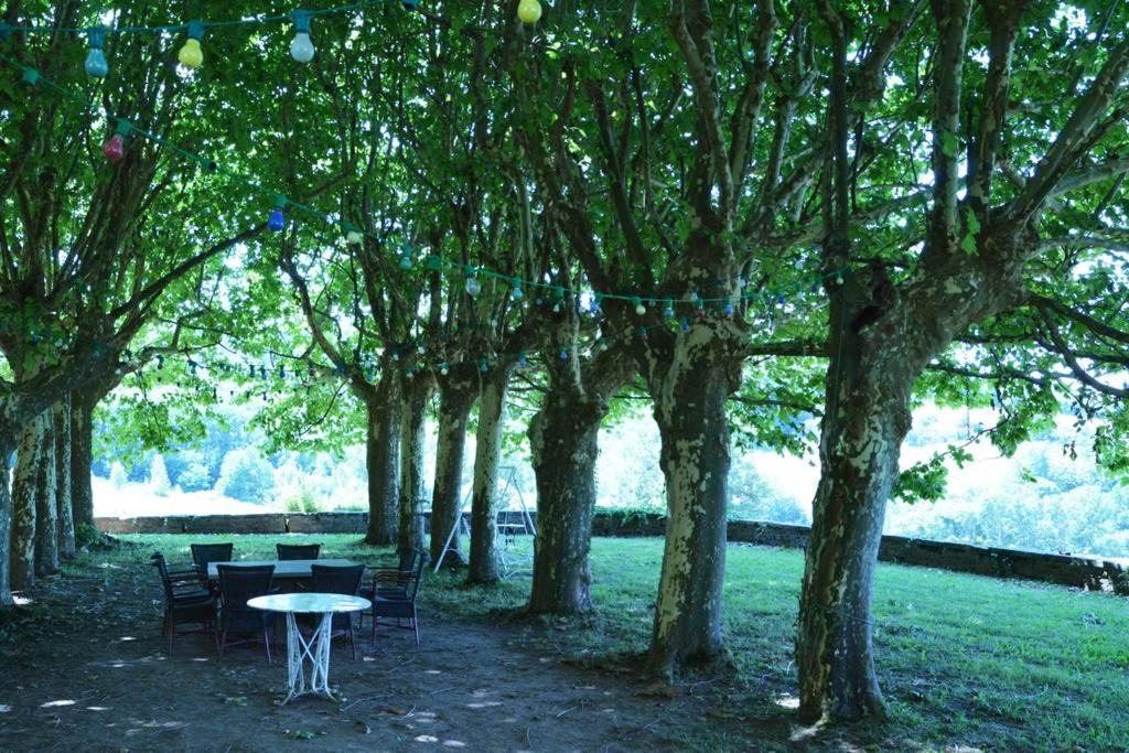 Photo of Others in Lissac-sur-Couze