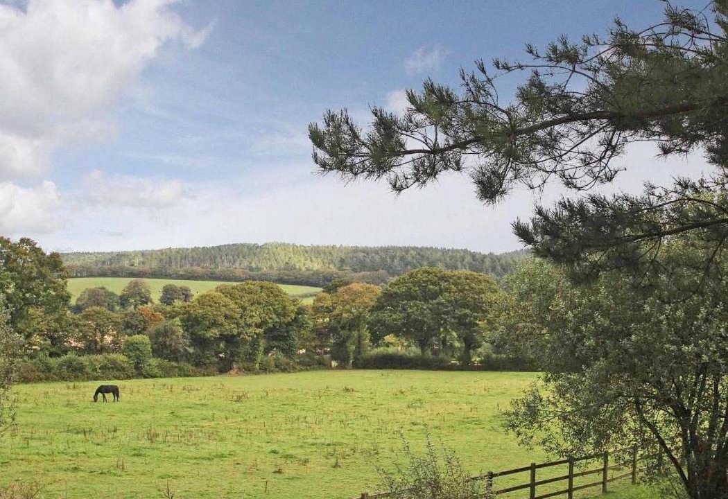 Photo of Others in Bodmin