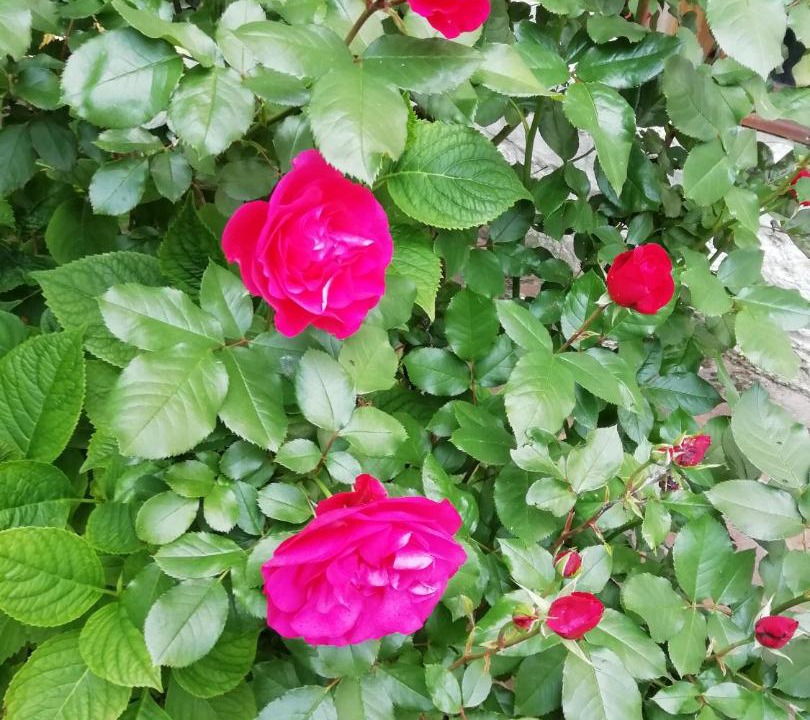 Photo of Outdoor in Lery