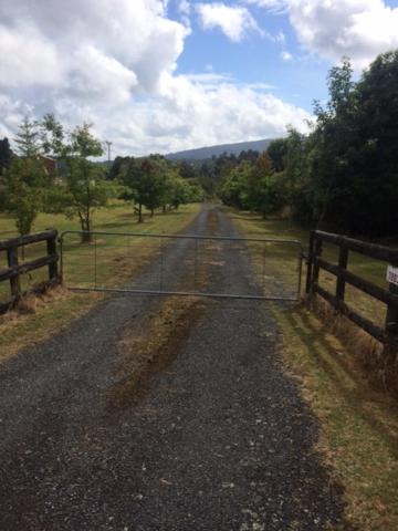 Photo of Others in Raurimu