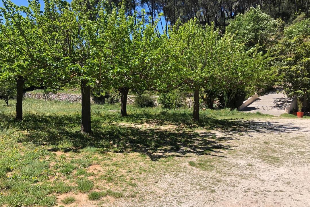 Photo of Outdoor in Carqueiranne