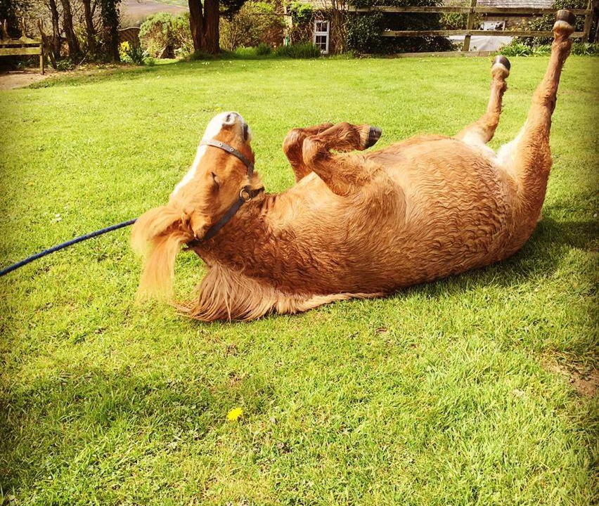 Photo of Others in Westleigh