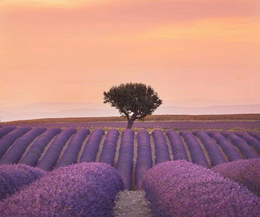 Photo of Others in Sault