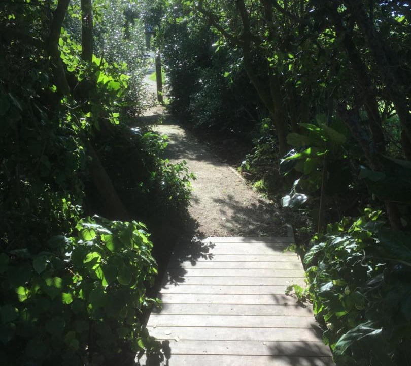 Photo of Others in Opunake