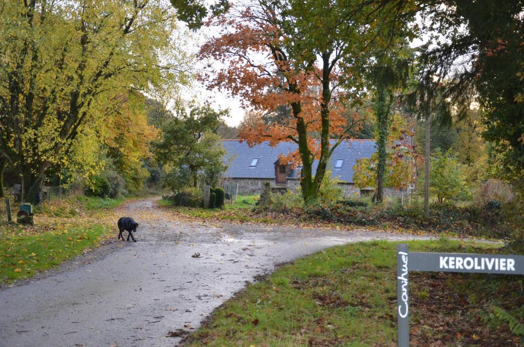 Photo of Others in Canihuel