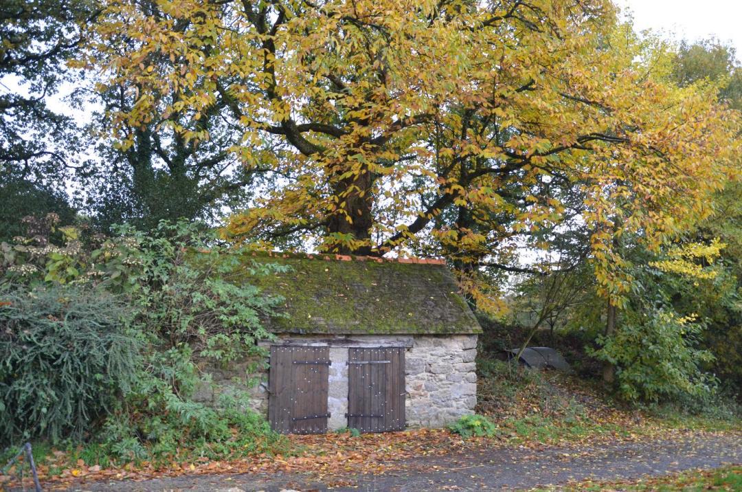 Photo of Others in Canihuel