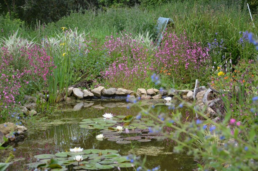 Photo of Outdoor in Canihuel