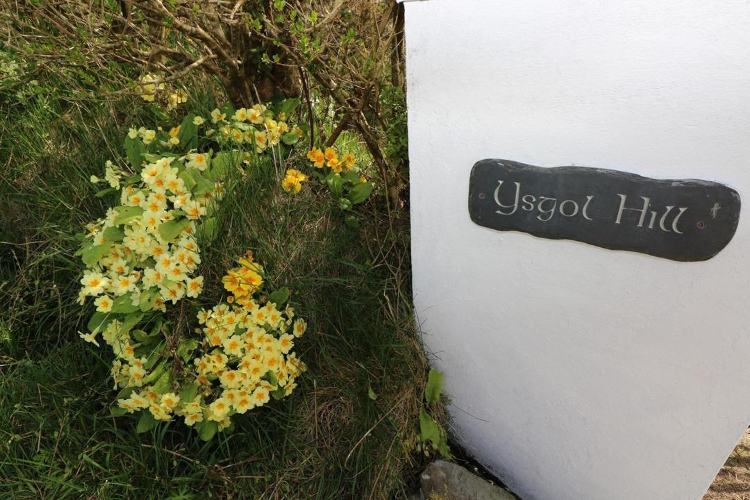 Photo of Others in Rosebush