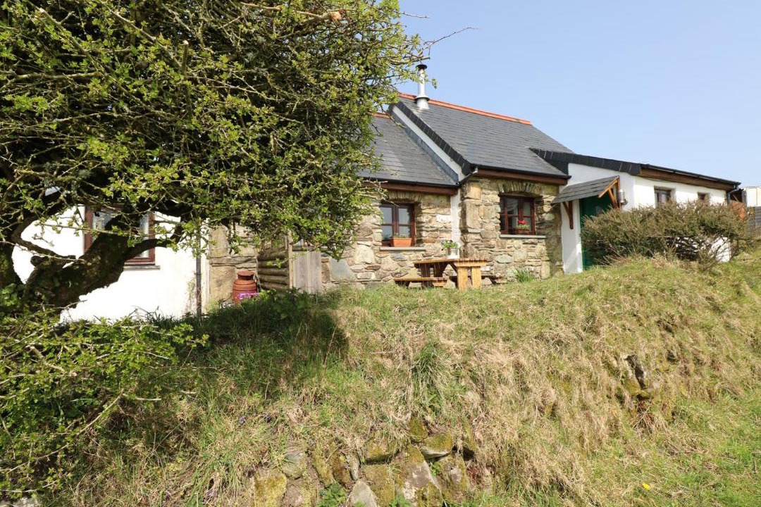 Photo of Buildings in Rosebush
