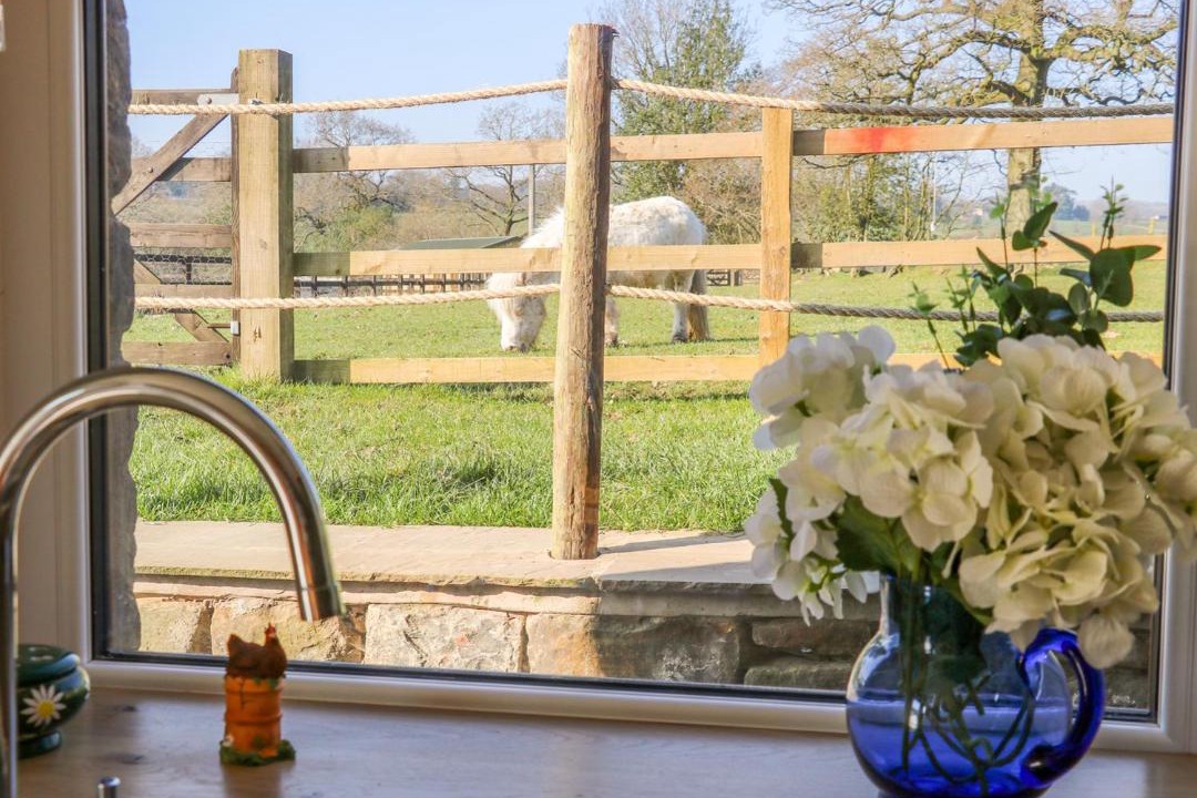 Photo of Others in Clitheroe