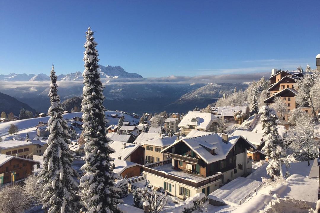 Photo of Others in Leysin