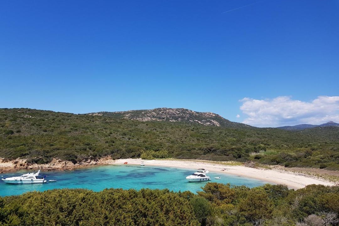 Photo of Others in Porto Pollo