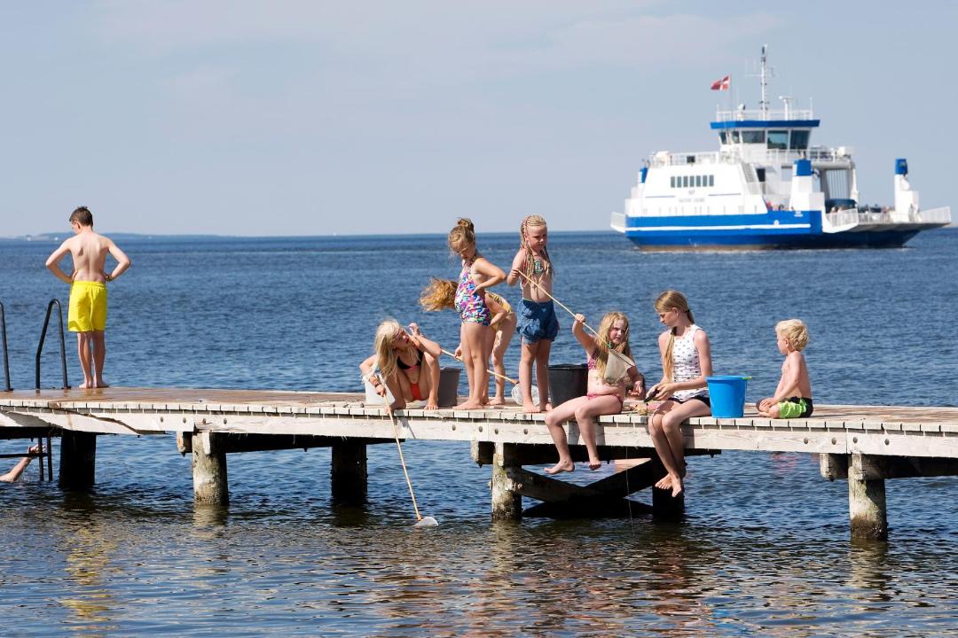 Photo of Others in Hvalpsund