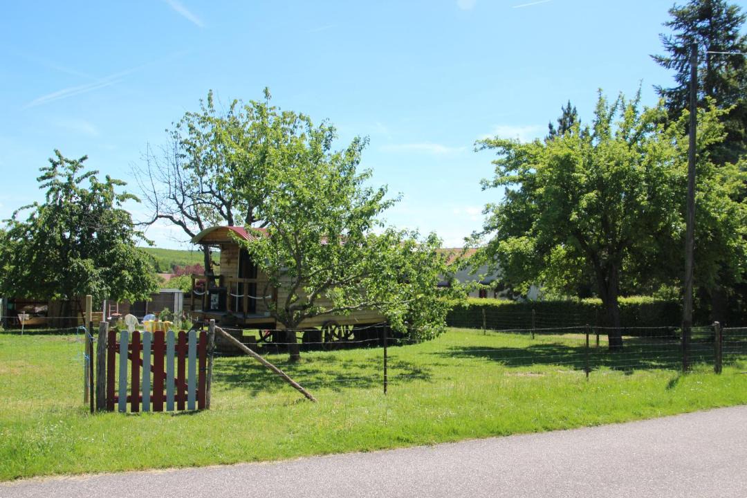 Photo of Others in Mattexey