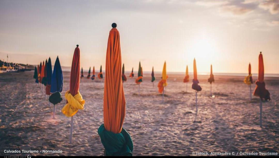 Photo of Others in Deauville City Centre