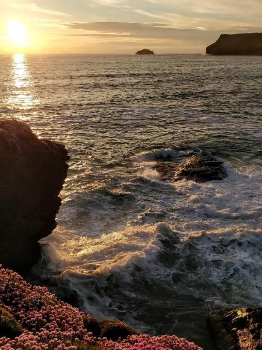 Photo of Others in St Minver