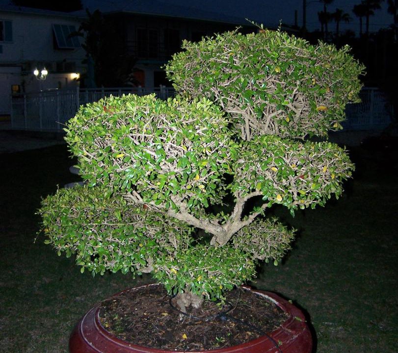 Photo of Outdoor in Rock Harbor
