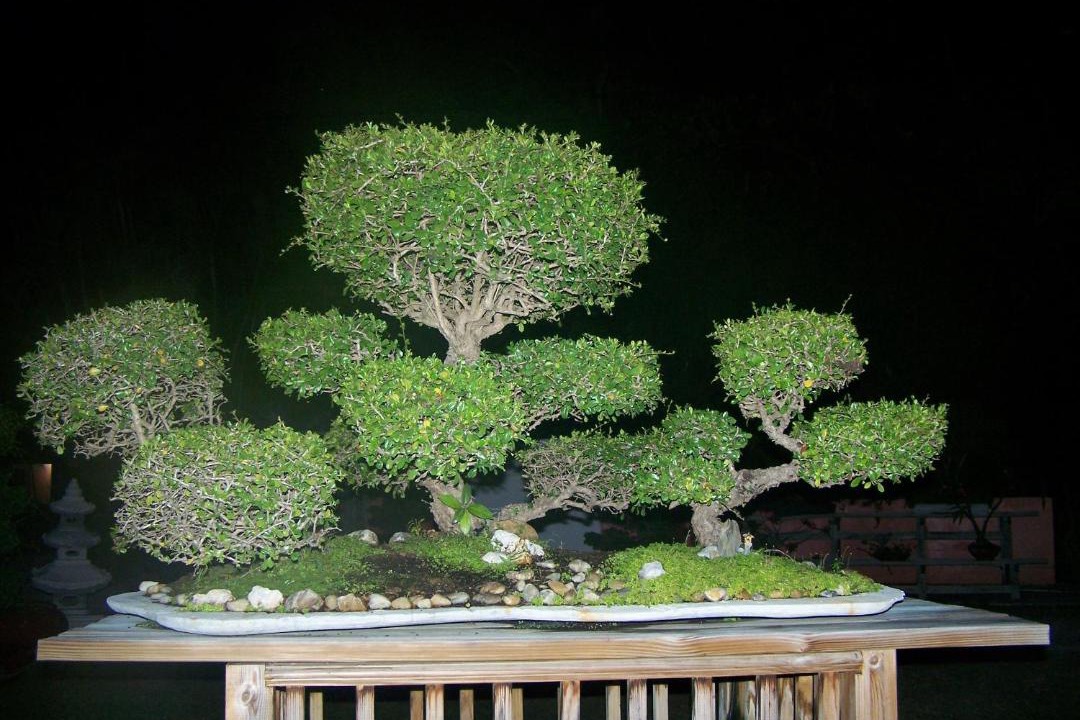 Photo of Others in Rock Harbor