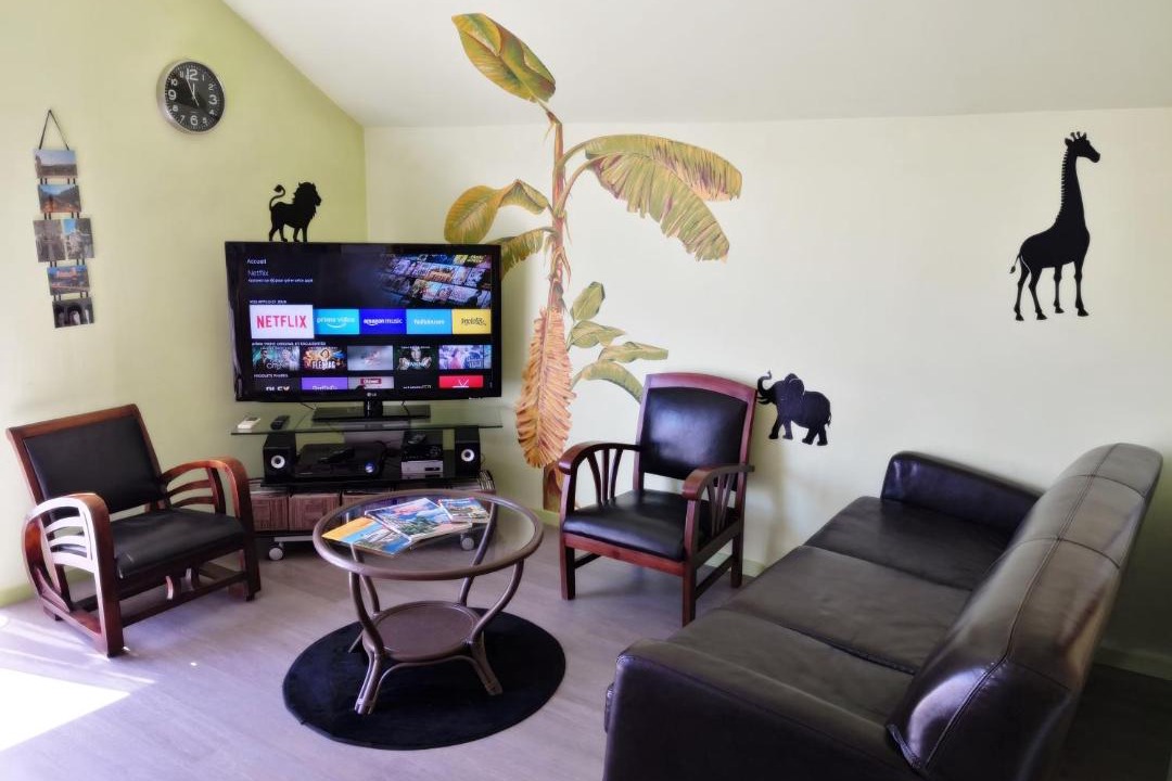 Photo of Livingroom in Pau-Sud