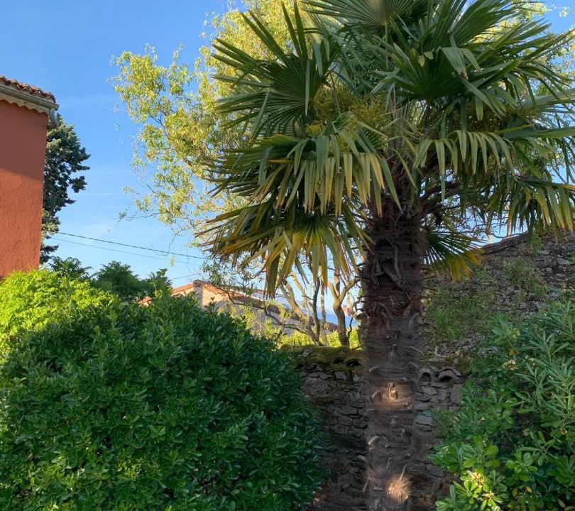 Photo of Outdoor in Champtoceaux