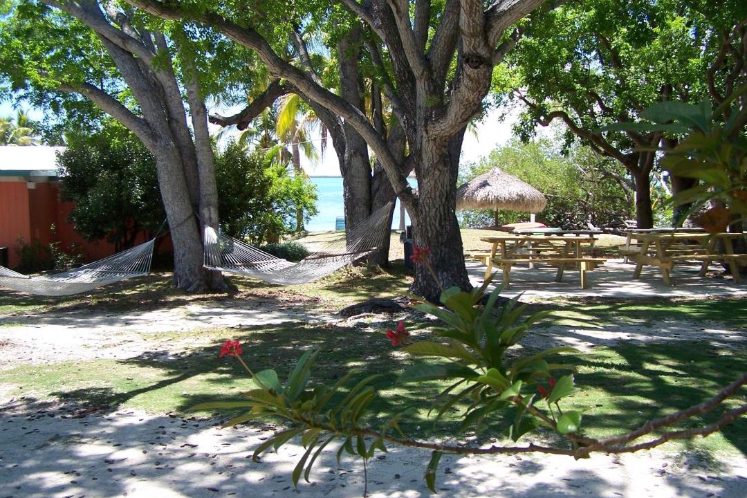 Photo of Others in Rock Harbor